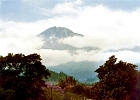 africa (13)b  Mount Meru and jacaranda trees